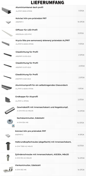 Aluminium Vordach Haustürvordach RAL 7016 Anthrazit Haustür Überdachung Glasvordach 300 cm